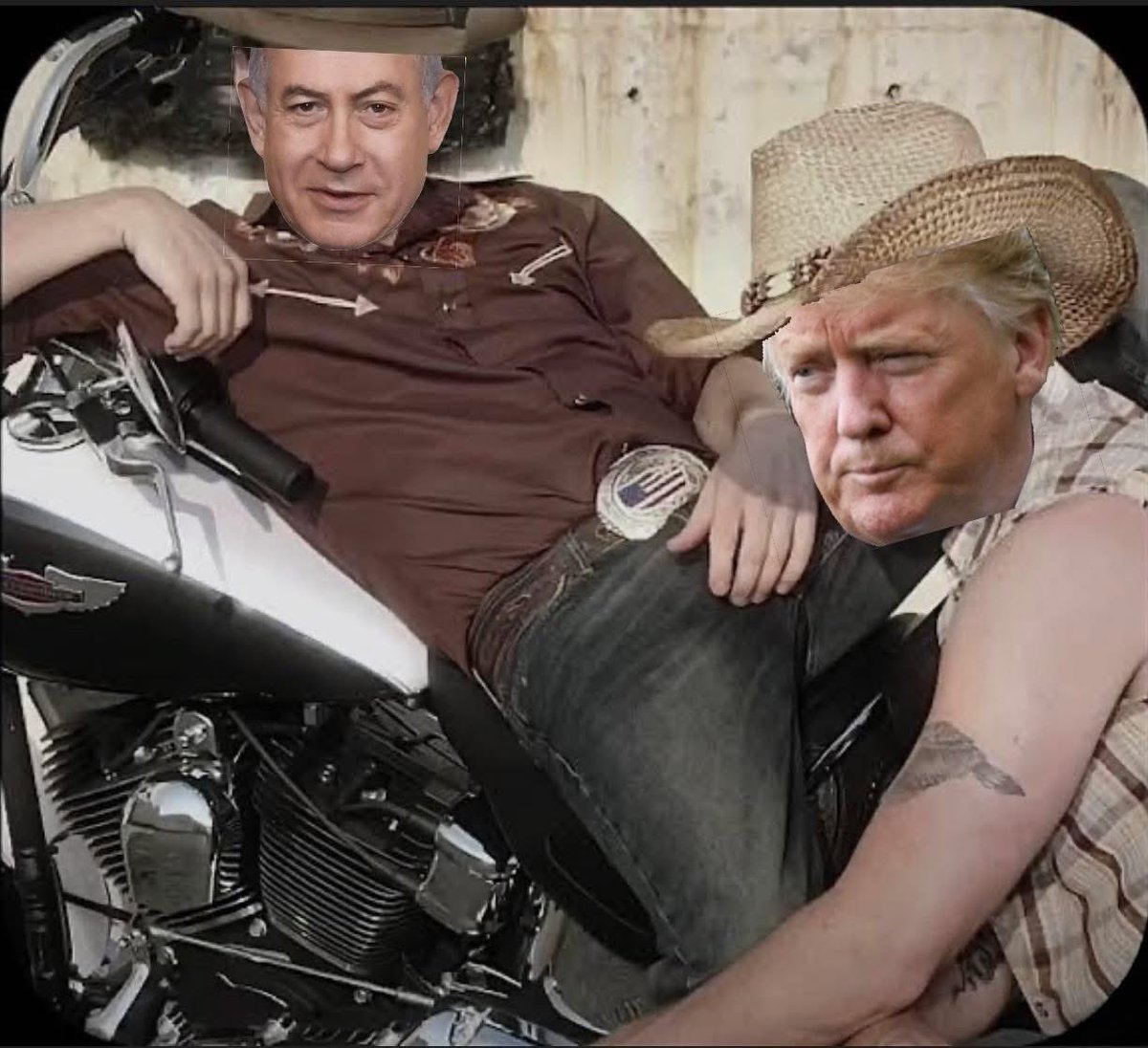 Shadow133 tweet media