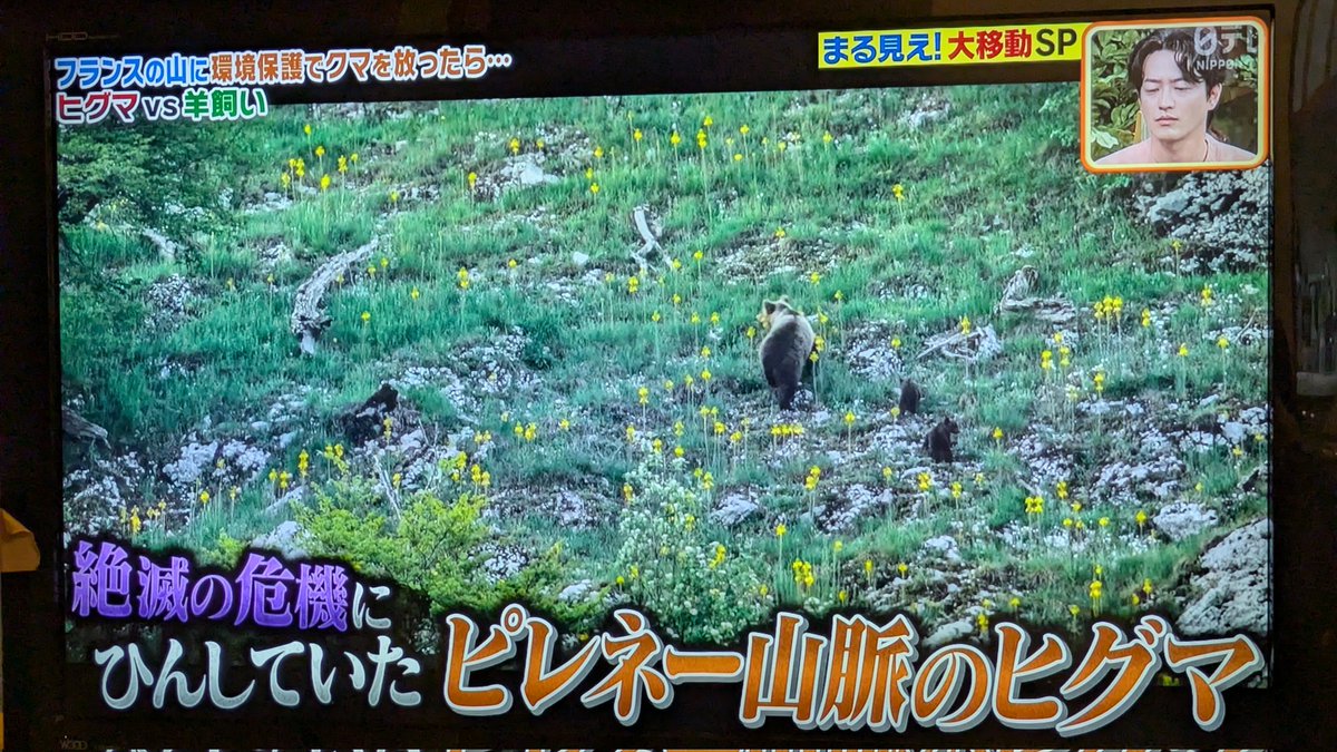 ito(emoito) tweet media