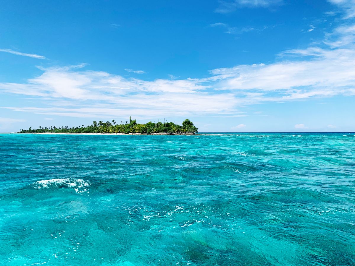 ルイス前田 tweet media