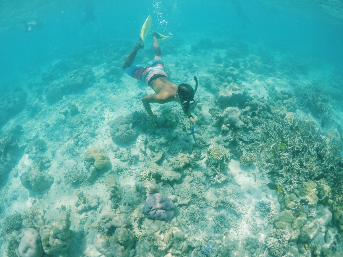 ルイス前田 tweet media