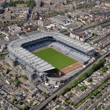 Lusca Fusca tweet media