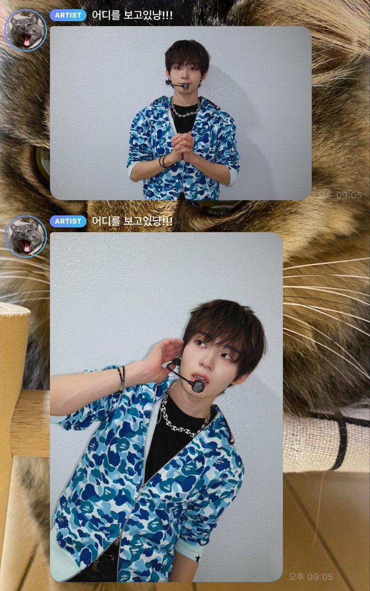 케유냥// tweet media