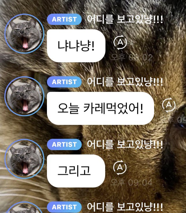 케유냥// tweet media