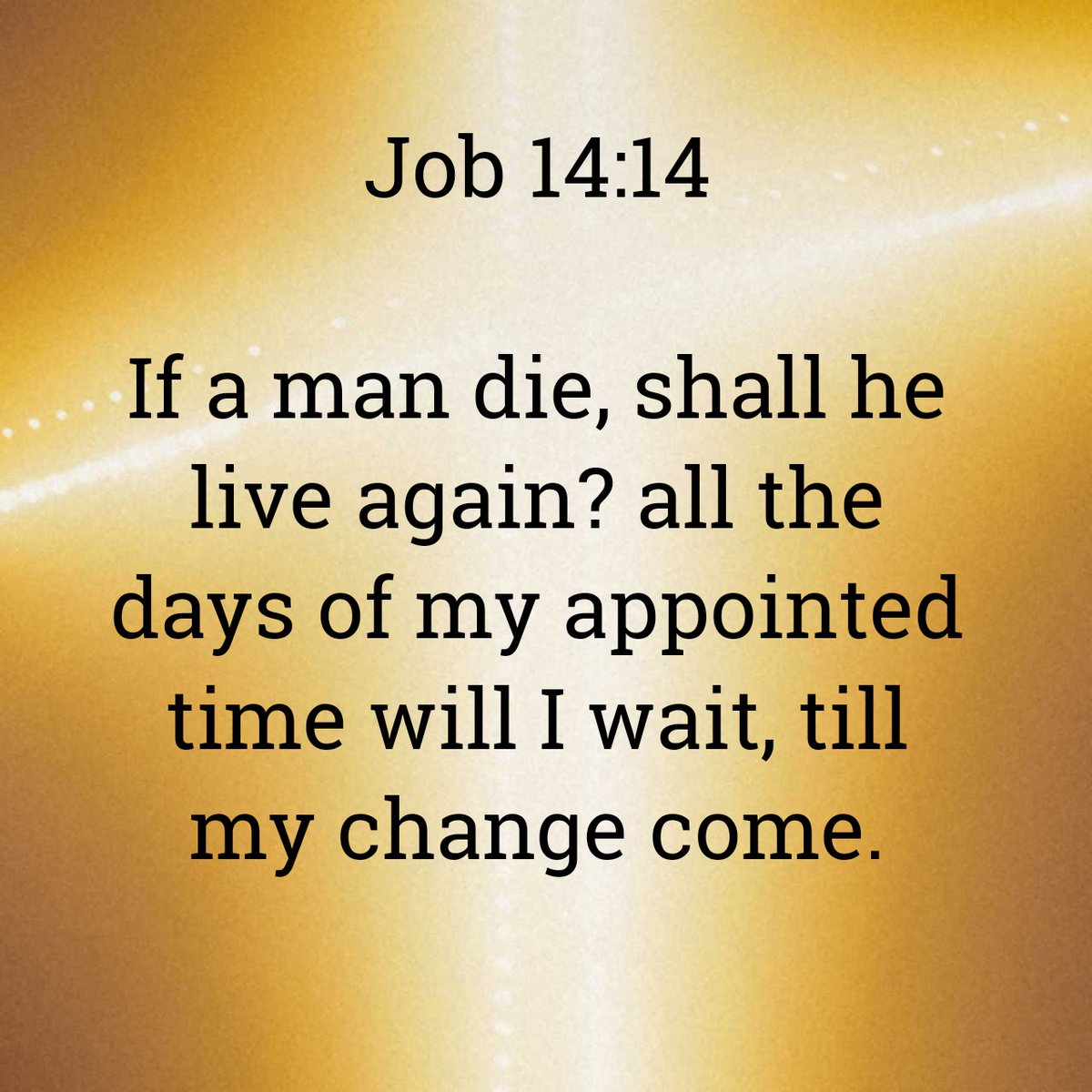 BibleManNC tweet media