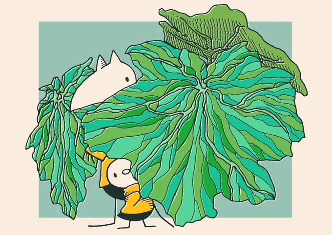 大きい葉っぱの影