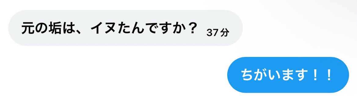🐶2⃣ tweet media