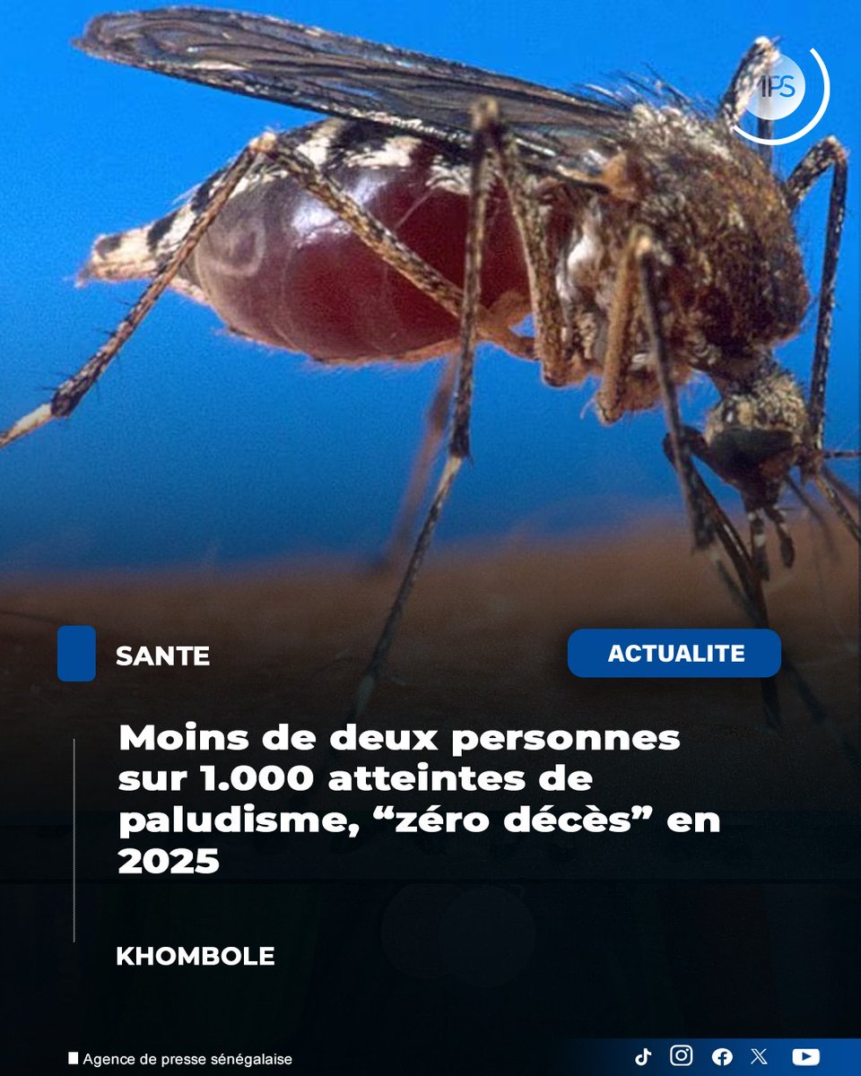 wlonj's tweet image. #Senegal: L’incidence du paludisme est inférieure à 2 sur 1.000 dans le district sanitaire de Khombole, où aucun décès lié au paludisme n’a été enregistré en 2025, a-t-on appris de son médecin-chef, le docteur Matar Ndiaye.

#Tchad #Malaria
