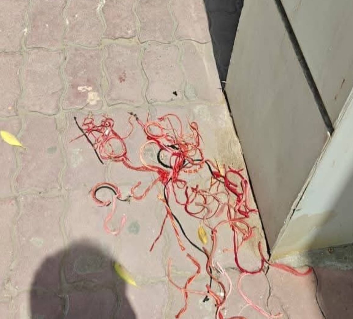 Swati Goel Sharma tweet media