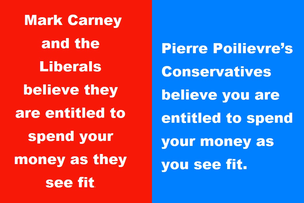 Cathy Kotze tweet media