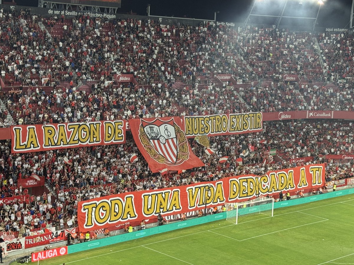 PS Forza Sevilla Campeón tweet media