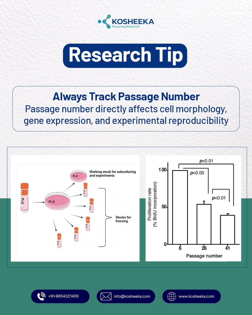 kosheeka tweet media