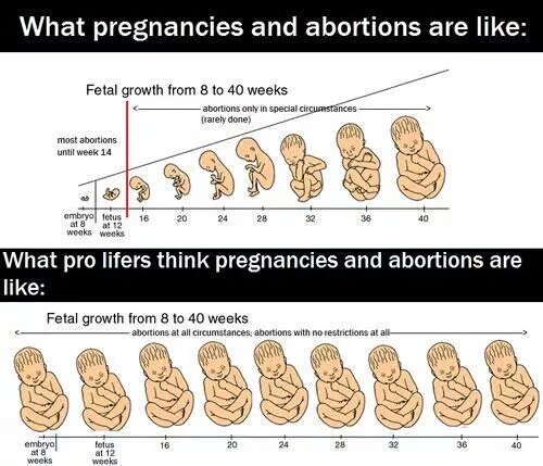 Nathan Nobis . com tweet media