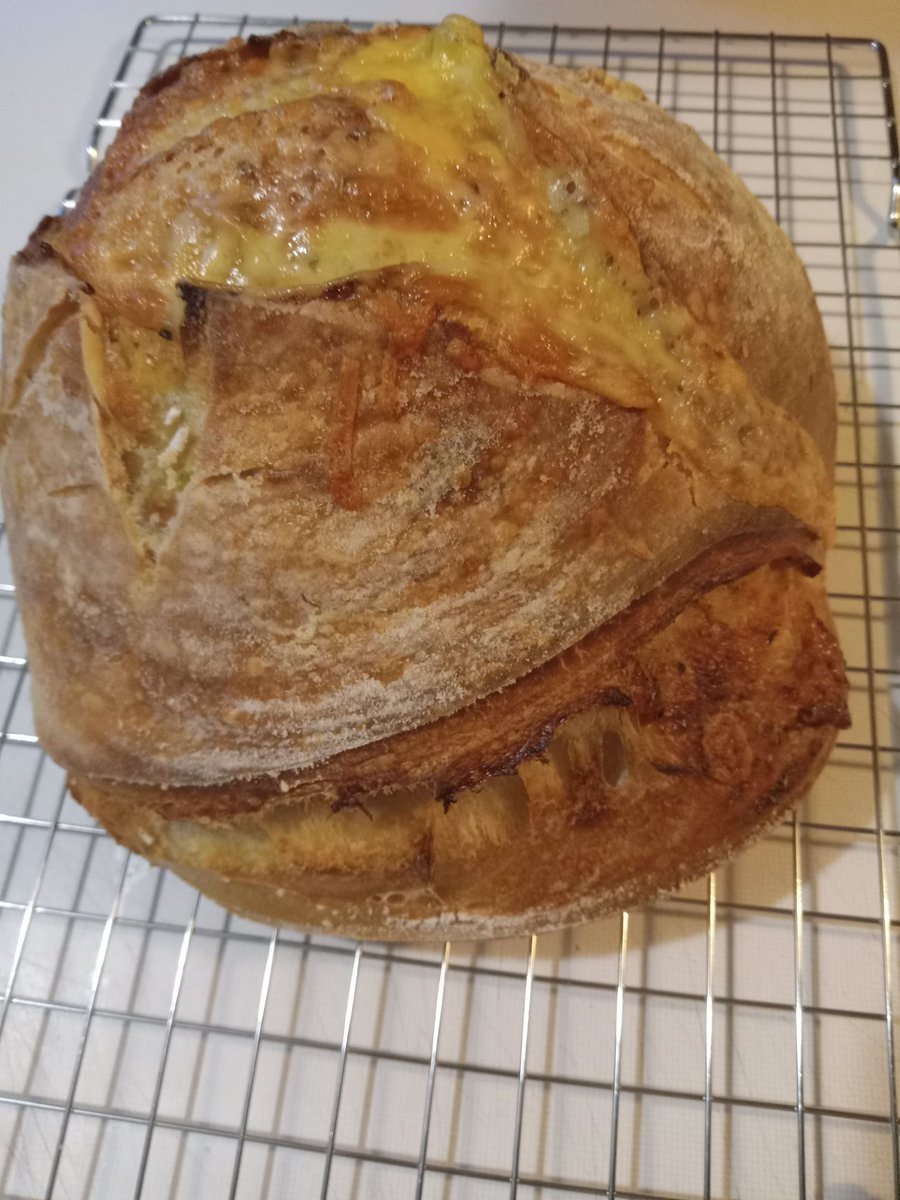 TamaraCanty's tweet image. TODAY'S GOAL: OH, MY GOODNESS GRACIOUS, MY FRIENDS!!! WE'RE STILL ON THIS SIDE OF ETERNITY, WHICH MEANS THAT WE STILL HAVE A MISSION ON THIS SIDE!!! LIVE, LAUGH, &amp;amp; MOST IMPORTANTLY LOVE AND COUNT EVERY BLESSING ALONG THE WAY, Y'ALL!!! (Isaiah 43:19) #HisHeart #LifeGoals 🥰 🍞