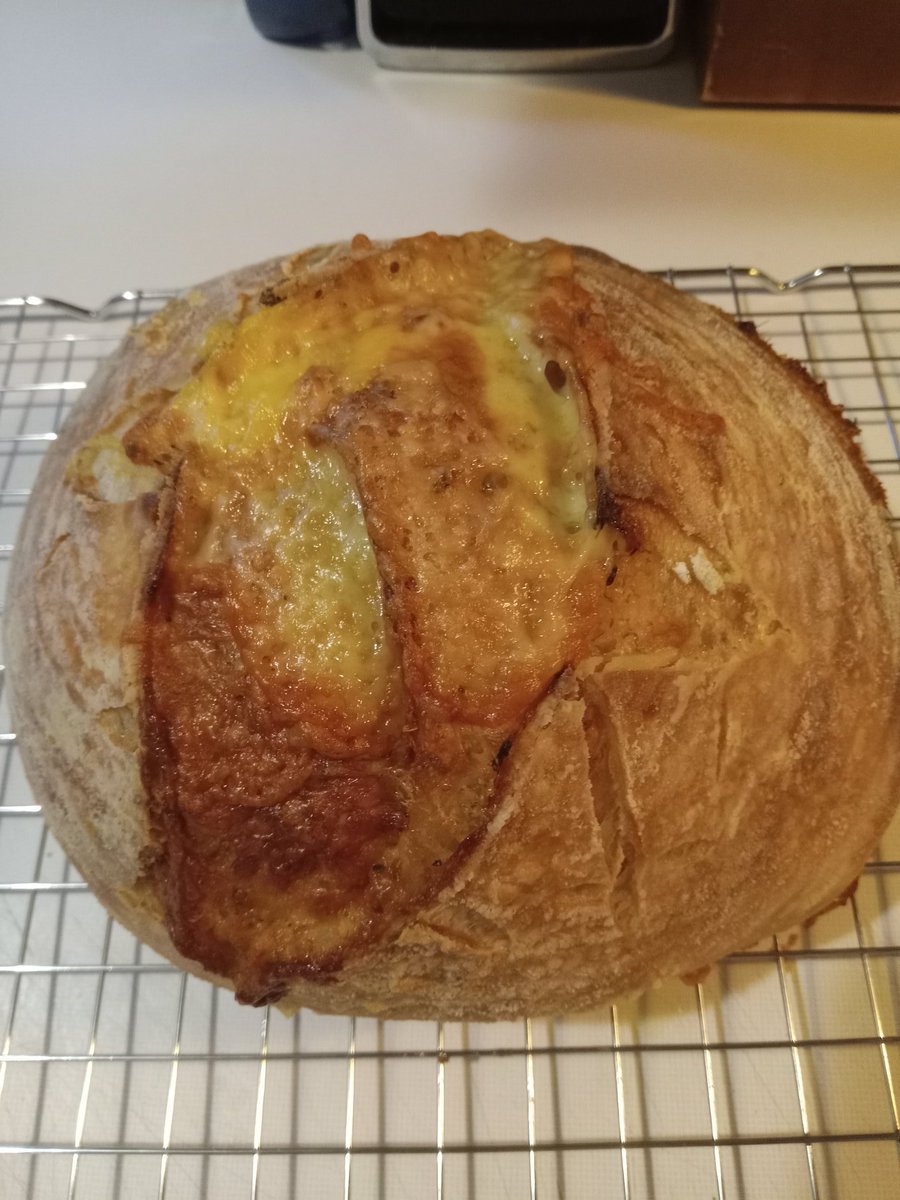 TamaraCanty's tweet image. TODAY'S GOAL: OH, MY GOODNESS GRACIOUS, MY FRIENDS!!! WE'RE STILL ON THIS SIDE OF ETERNITY, WHICH MEANS THAT WE STILL HAVE A MISSION ON THIS SIDE!!! LIVE, LAUGH, &amp;amp; MOST IMPORTANTLY LOVE AND COUNT EVERY BLESSING ALONG THE WAY, Y'ALL!!! (Isaiah 43:19) #HisHeart #LifeGoals 🥰 🍞