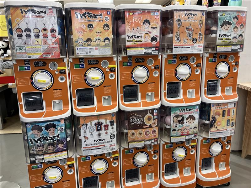 ハイキュー!!プラザ tweet media