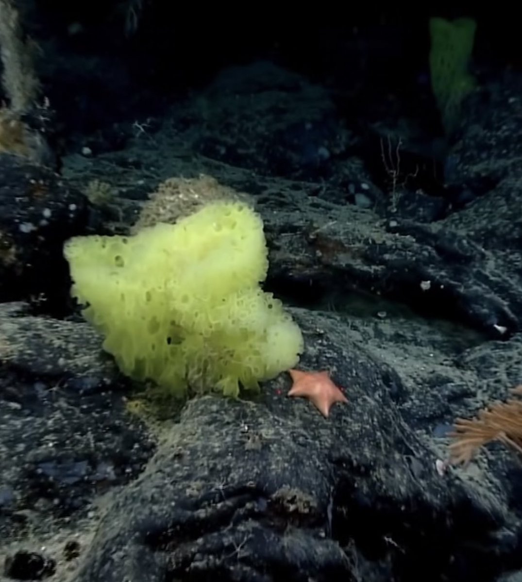 folkative tweet media