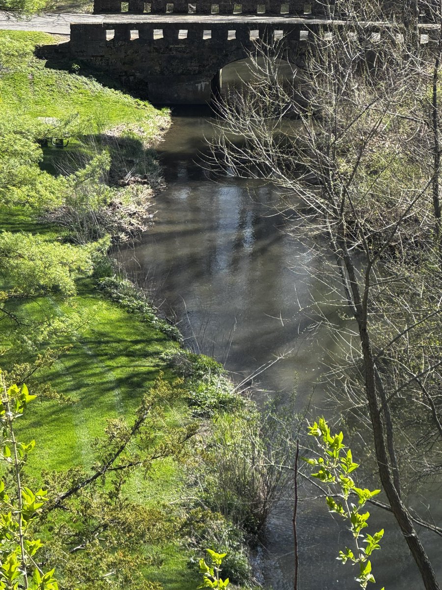 PastorWarren14's tweet image. Mondays are the dogs 🐕 - 4/20/26 youtu.be/_-y-2KzX5Yo?si… via @YouTube #Mondayblessings #MondayMorning #MondayMotivaton #MondayMood #MondayThoughts
#LifeInTheValley Wick