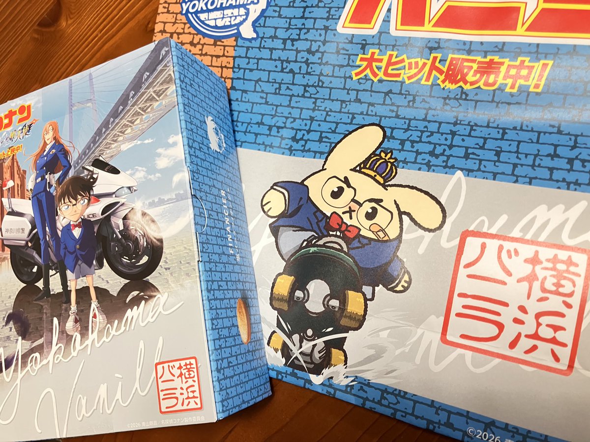 うちにコナンが来た