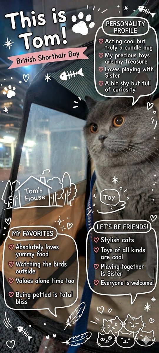 Tom The Cat tweet media