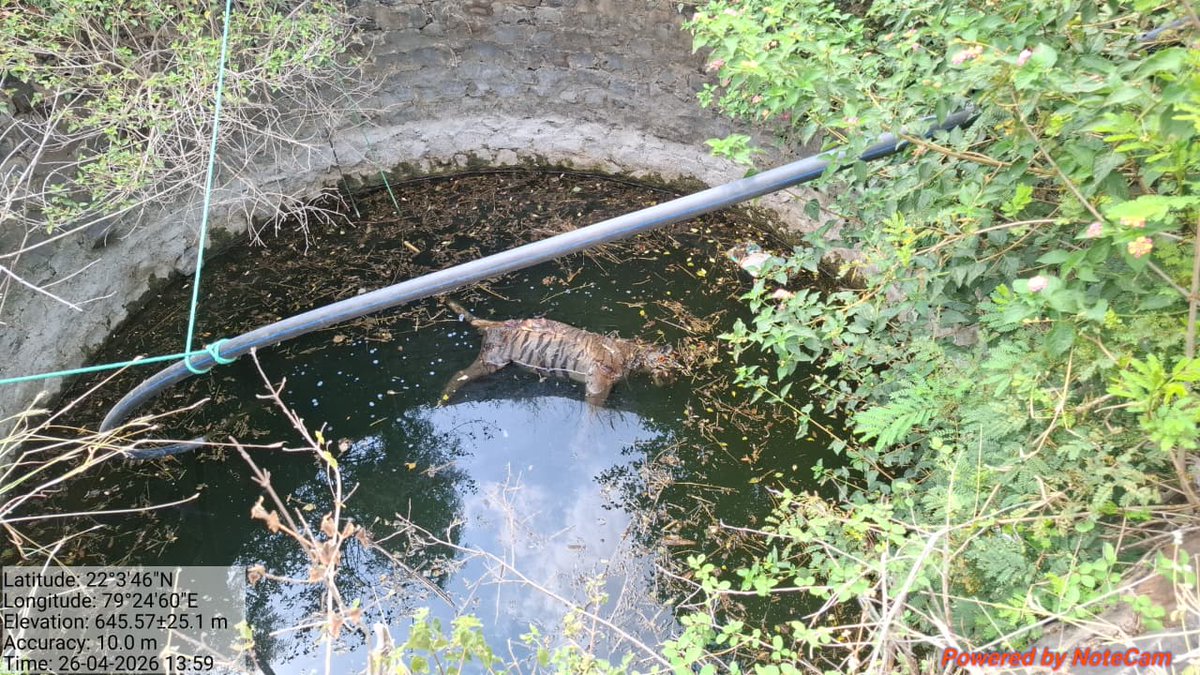 Ajay Dubey tweet media