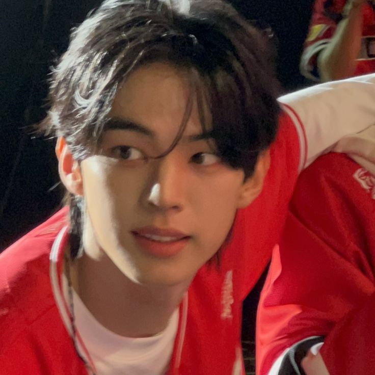 dochu 🐺🐨 tweet media