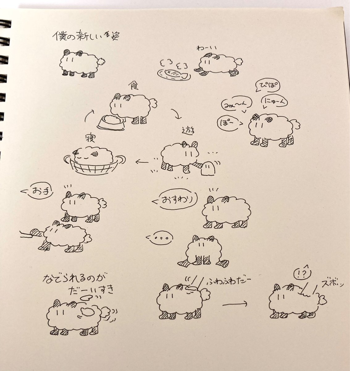 空論/秒_C/s tweet media