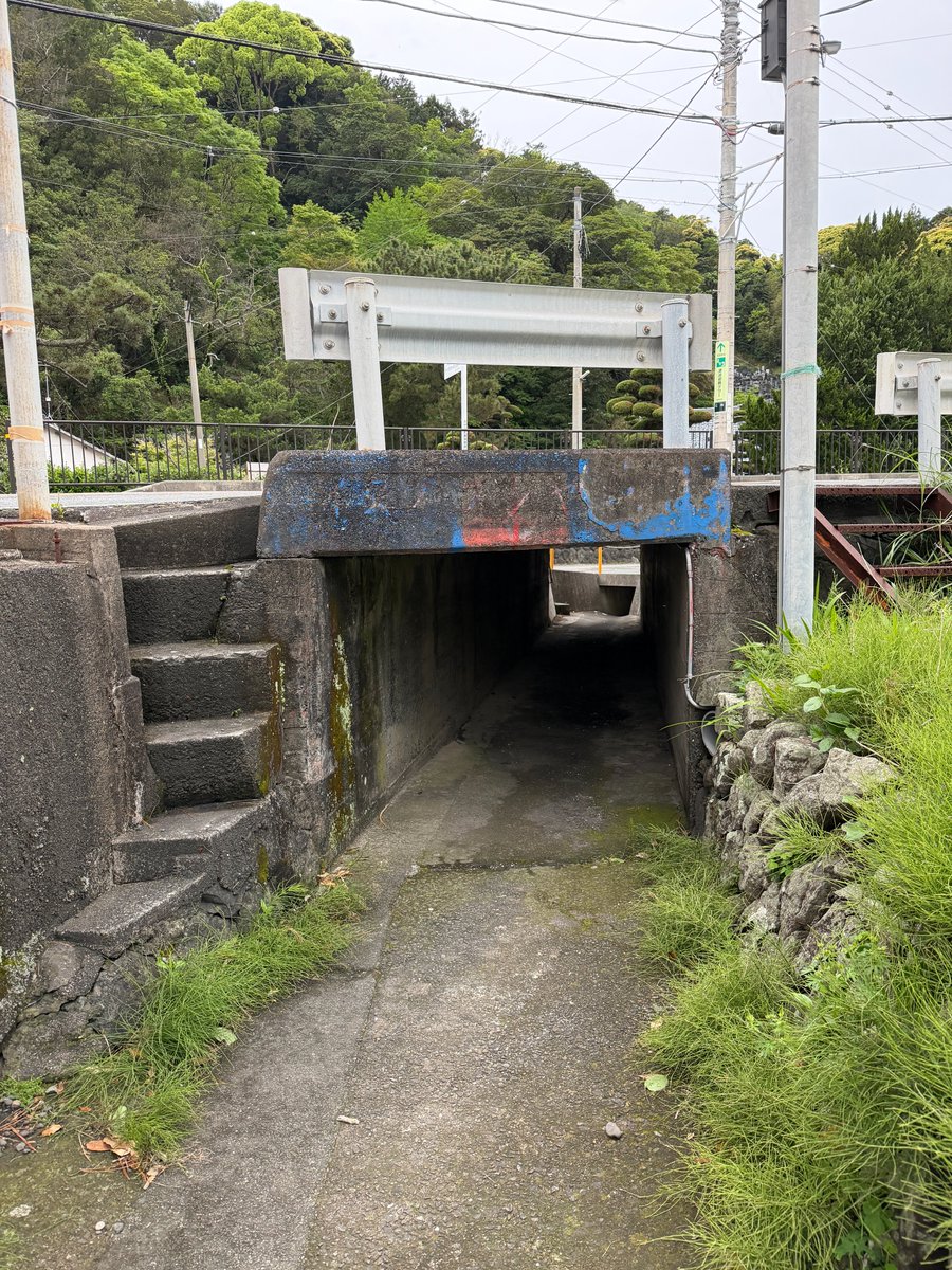 ジオガシ旅行団／Michiko SUZUKI tweet media