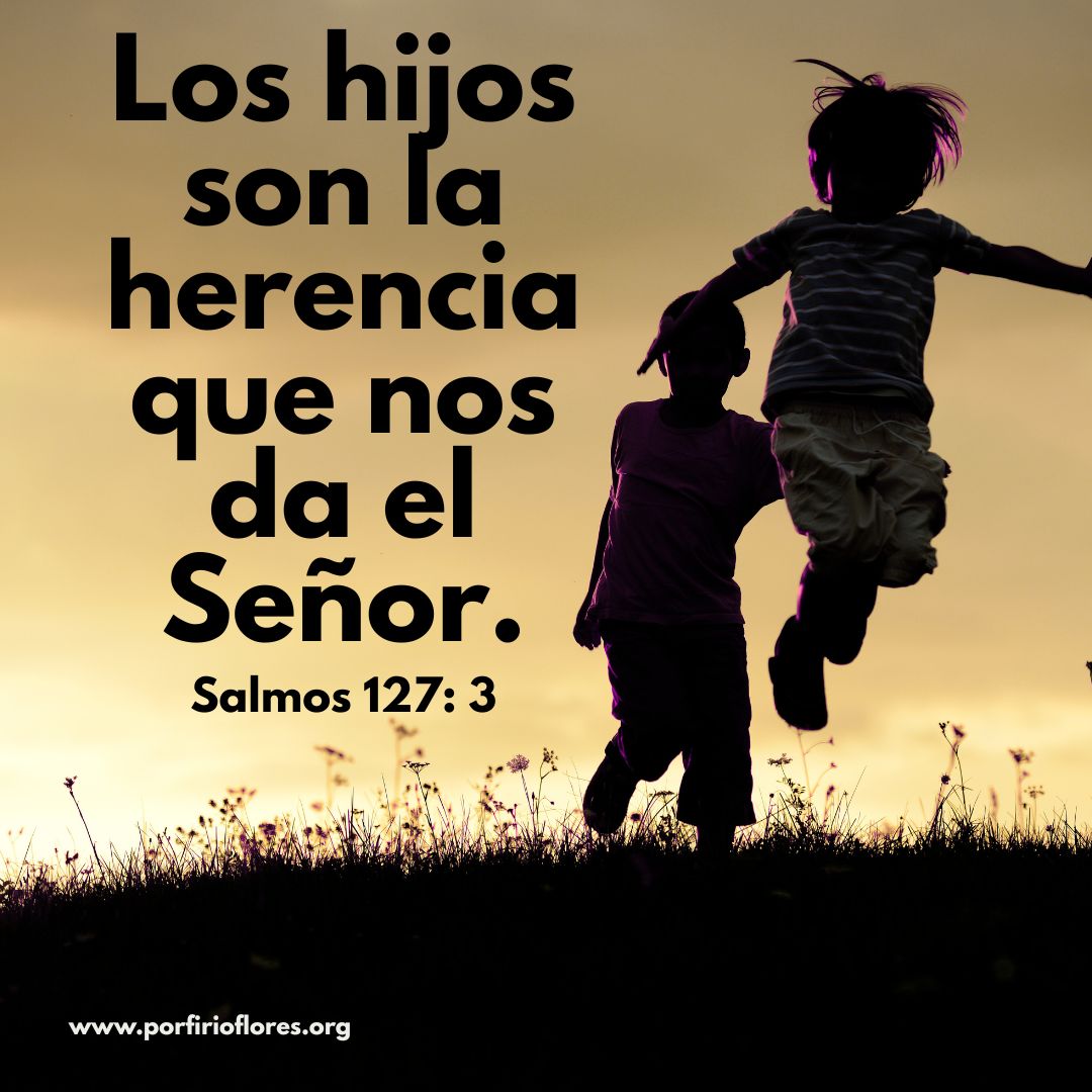 Porfirio Flores tweet media