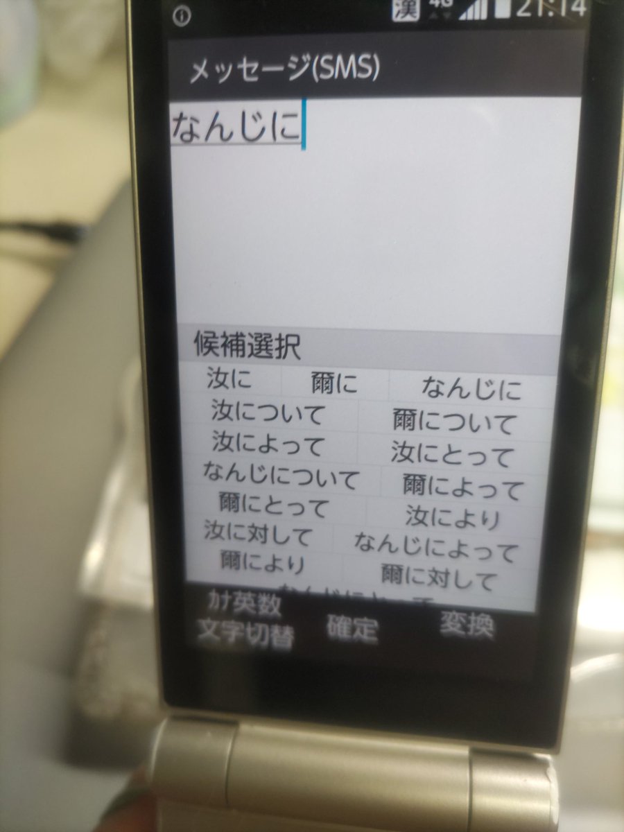 望月うさぎ tweet media