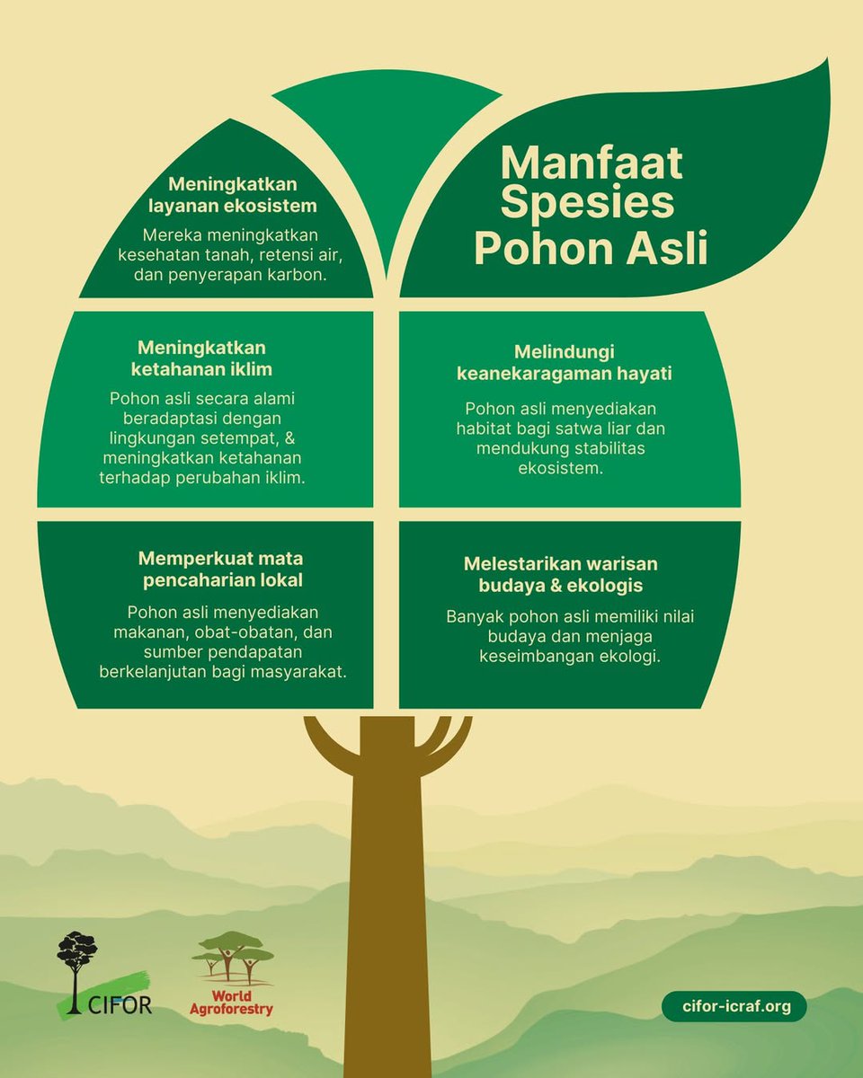 CIFOR_ICRAF_ID's tweet image. Meski spesies eksotik kerap diminati, spesies pohon asli berperan penting dalam menjaga keseimbangan ekosistem.

Sayangnya, keberadaannya kini terus terancam.

Lalu, bagaimana kita bisa ikut melestarikannya?
Simak selengkapnya di bit.ly/spesies-pohon-…

#TreesPeoplePlanet