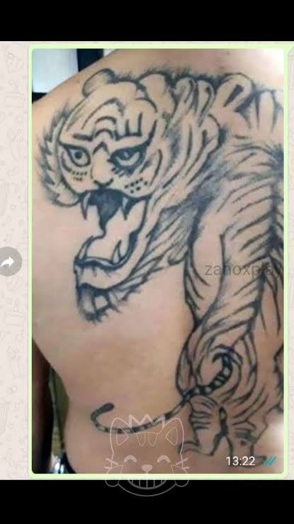 Boxeo Gordo tweet media