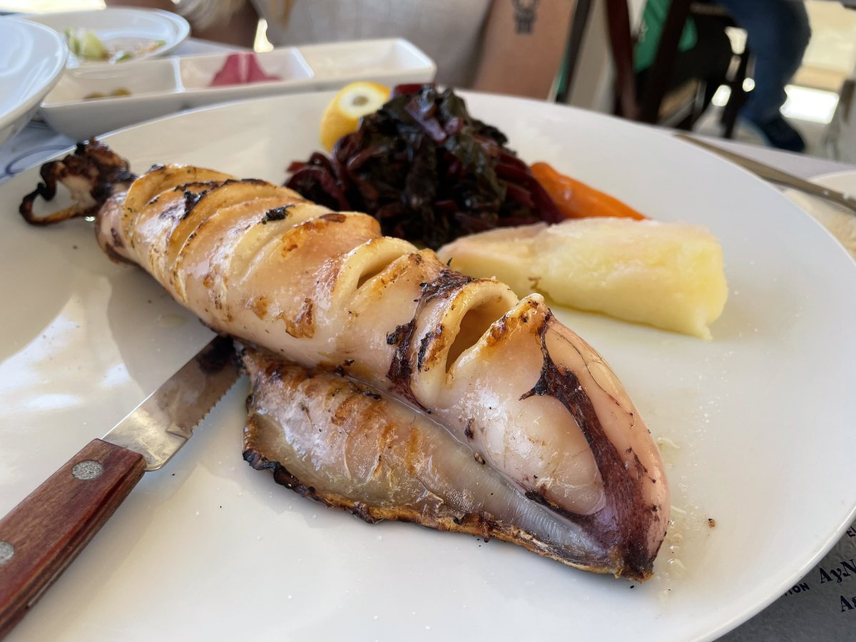 Alex van Herk 🎣 tweet media