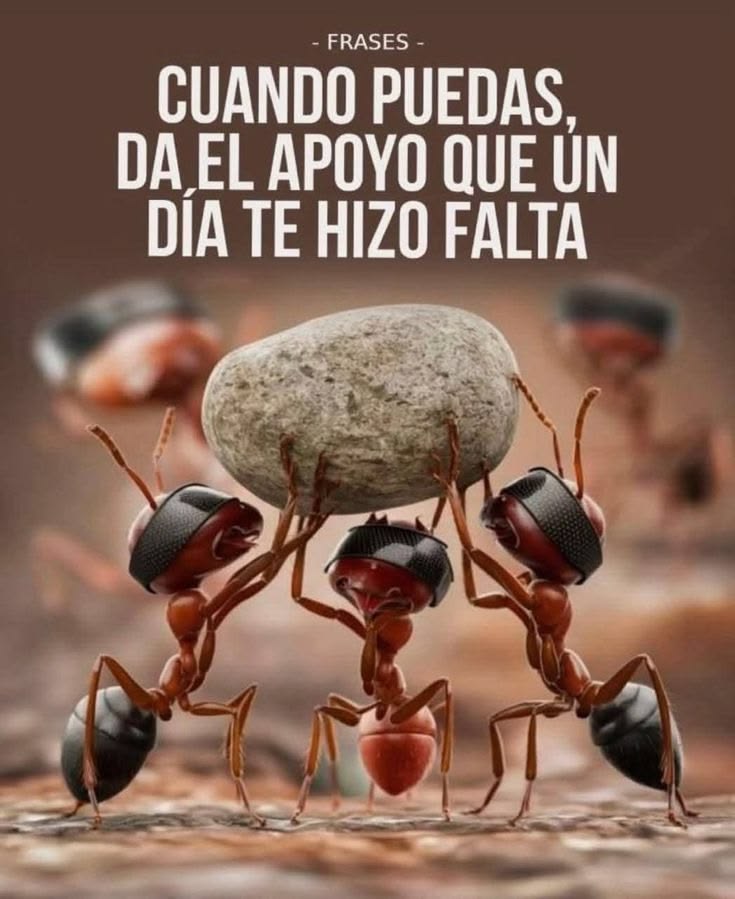 🇪🇦Mar OliLo 🇪🇦 tweet media