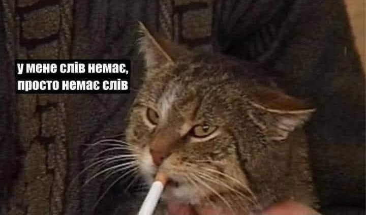 Пан з Херсона tweet media