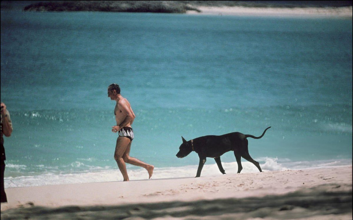 TT🇮🇷🇨🇦 tweet media