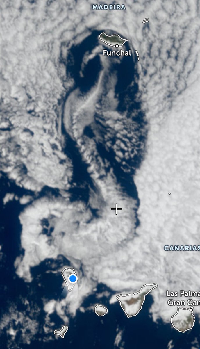 Elmorromazo's tweet image. Esto de llevar la #pareidolia al satélite, podemos ver un ave, con su pico y coronada con #madeira 😂😂😂@AEMET_Divulga @Aemet_Corpora @AGMCan @alvariteus @Adricor_fer @Divulgameteo @tiempobrasero @Meteohuelva @MeteoChatSE @MeteoredES @ame_asociacion