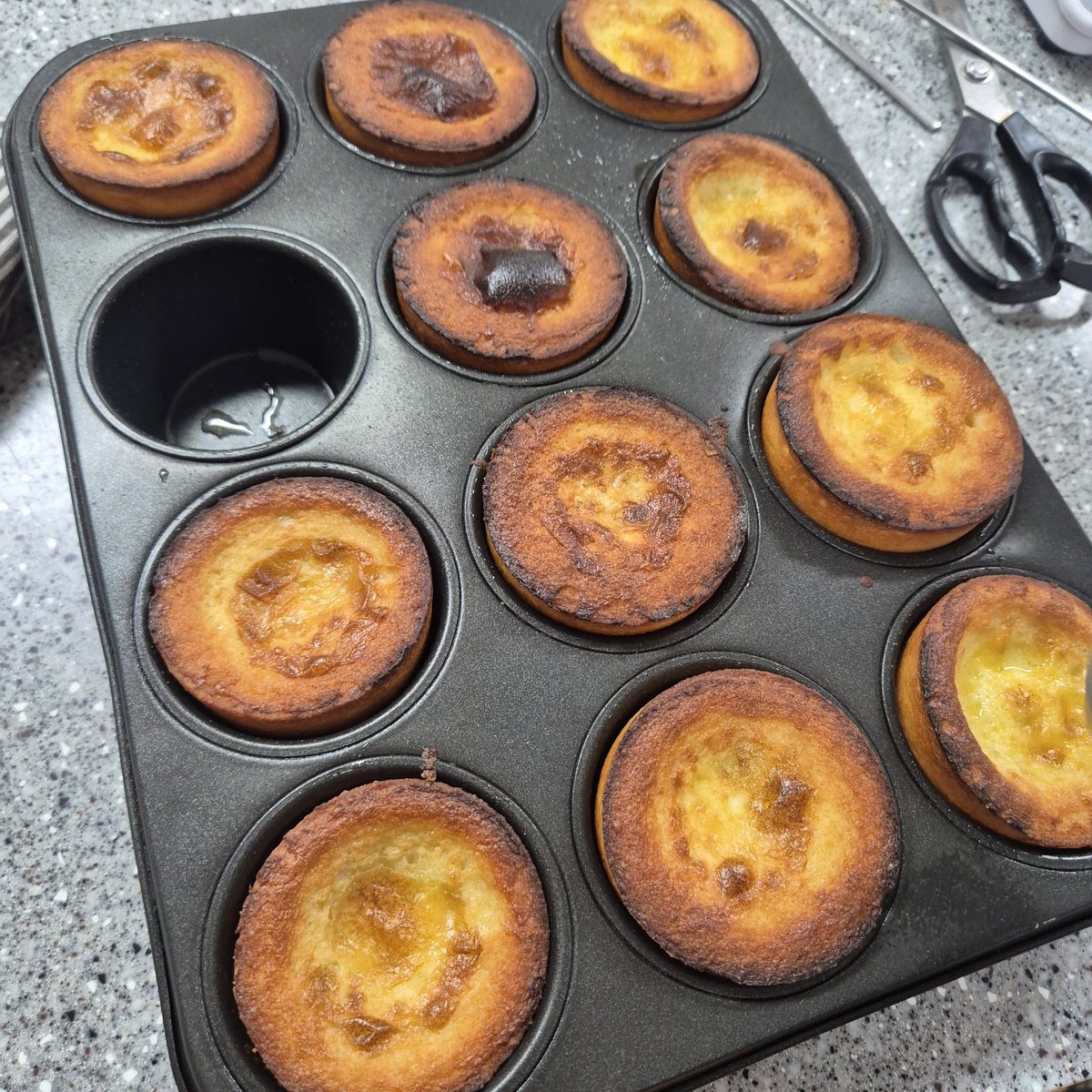 바둑이 tweet media