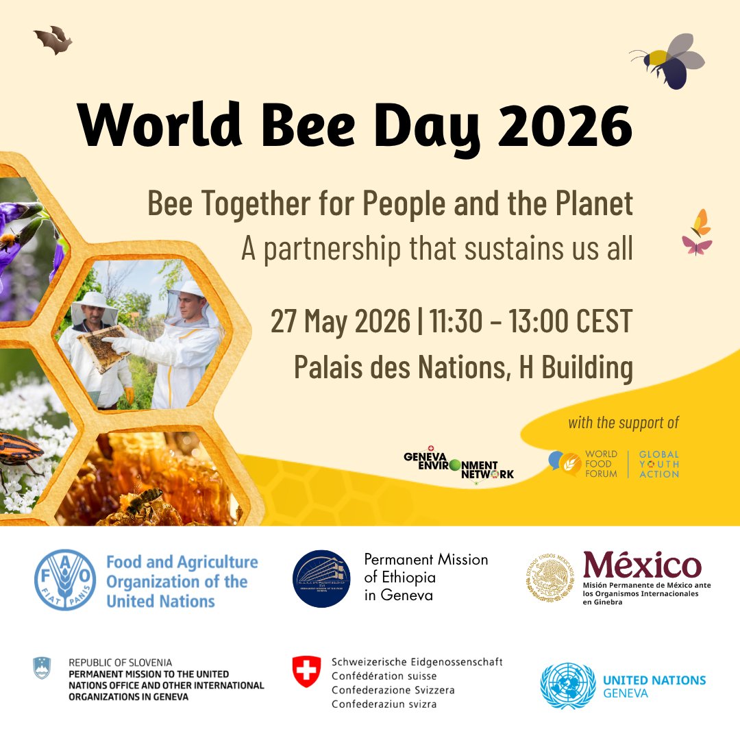 FAOGeneva's tweet image. 🐝 Join us for the #WorldBeeDay in Geneva!

Under the theme “Bee Together for People &amp;amp; the Planet,” the event will highlight the strong &amp;amp; enduring relationship between people &amp;amp; pollinators.

📅 27 May | 11:30 AM CEST
📍 H Building, Palais des Nations
👉 bit.ly/4ebEy8a