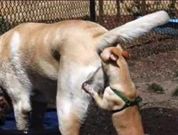 Michael🐻 opět hrdý na 🇨🇿, podporuje 🇺🇦 🇮🇱 tweet media