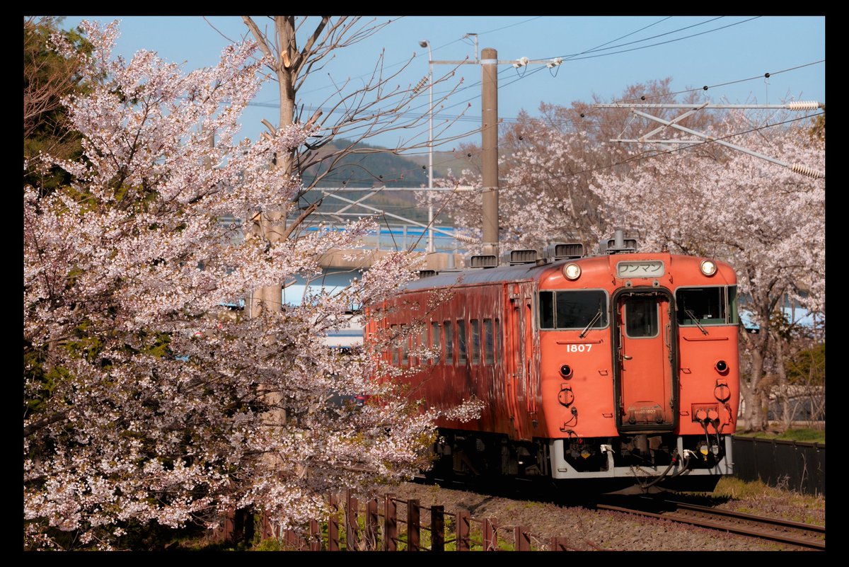 とみ tweet media
