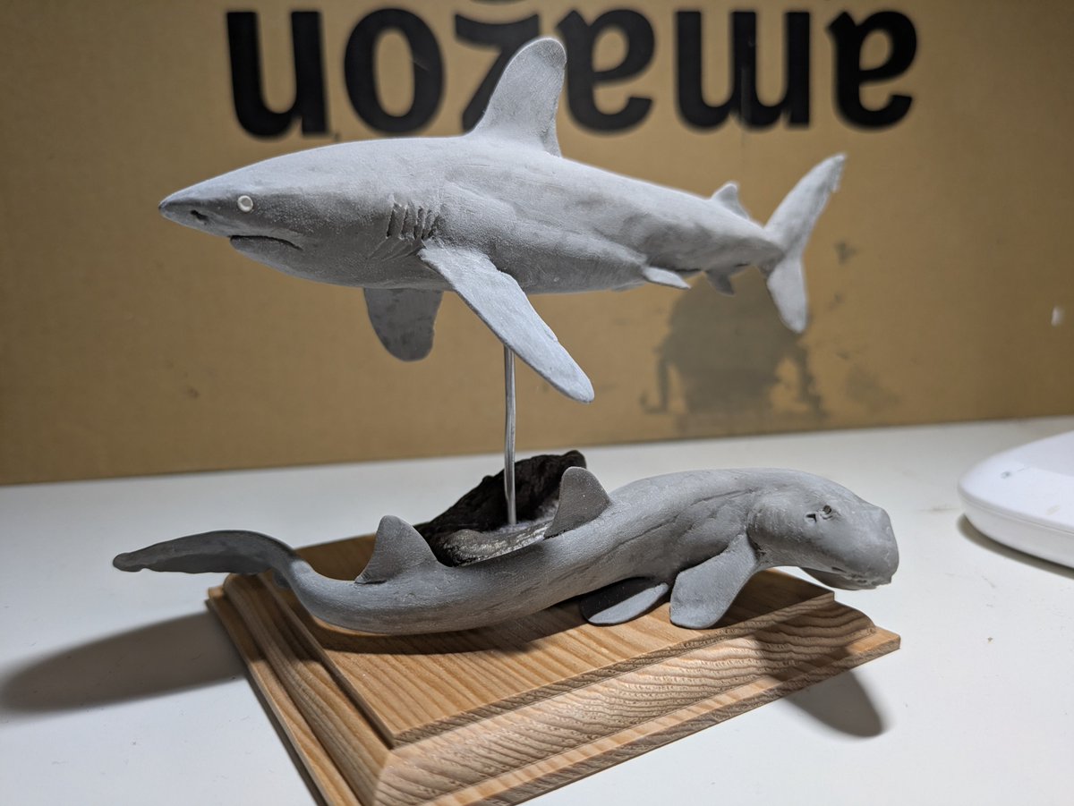 大海原をひたすら泳ぎ続けるサメと浅海の底をテクテク歩くサメが焼き上がりました。