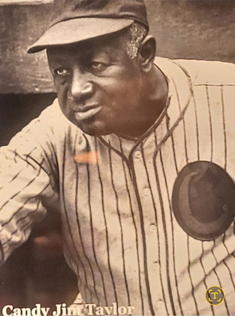 Timothy Jenkins tweet media