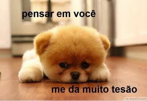 magrinhogostoso tweet media