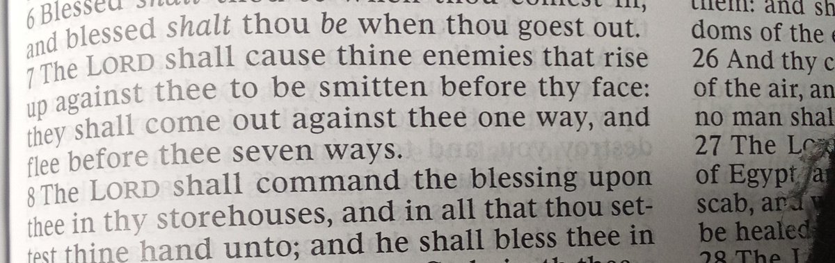 Tassi Hepburn tweet media