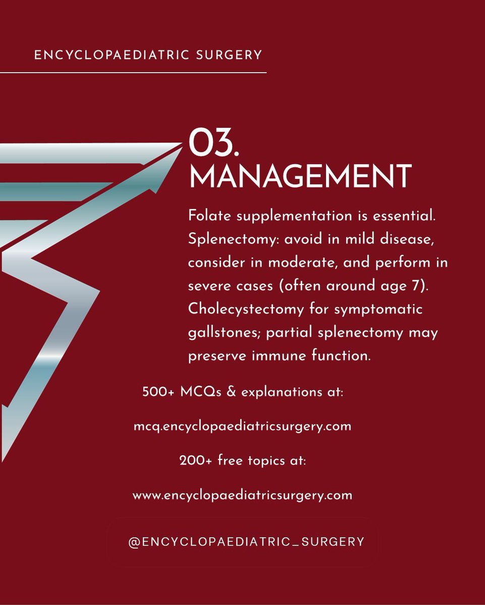 EncycloPaedSurg's tweet image. How much do you need to know about Hereditary Spherocytosis?
#PaediatricSurgery #PediatricSurgery #Surgeon #FRCS #FEBPS #EuropeanBoard #Revision #Exams #SingleBestAnswer #MCQ #EncycloPaediatricSurgery #fyp

For 500+ FRCS style practice MCQs:
mcq.encyclopaediatricsurgery.com