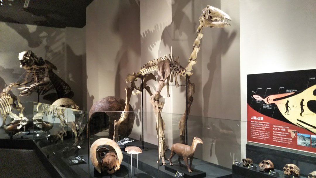 サトシ tweet media