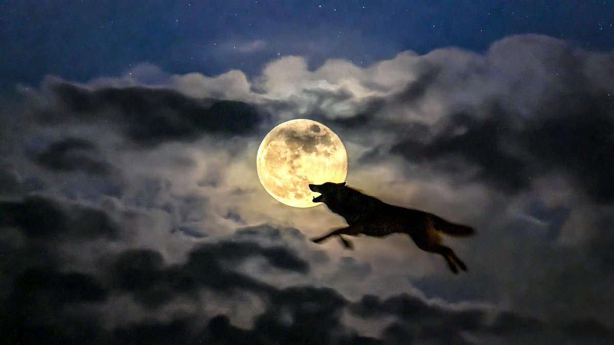 StiffSausageol1's tweet image. Good morning 🌕🌄☕️
Hope everyone has a great day today💪
Hail Mani🌙🍻