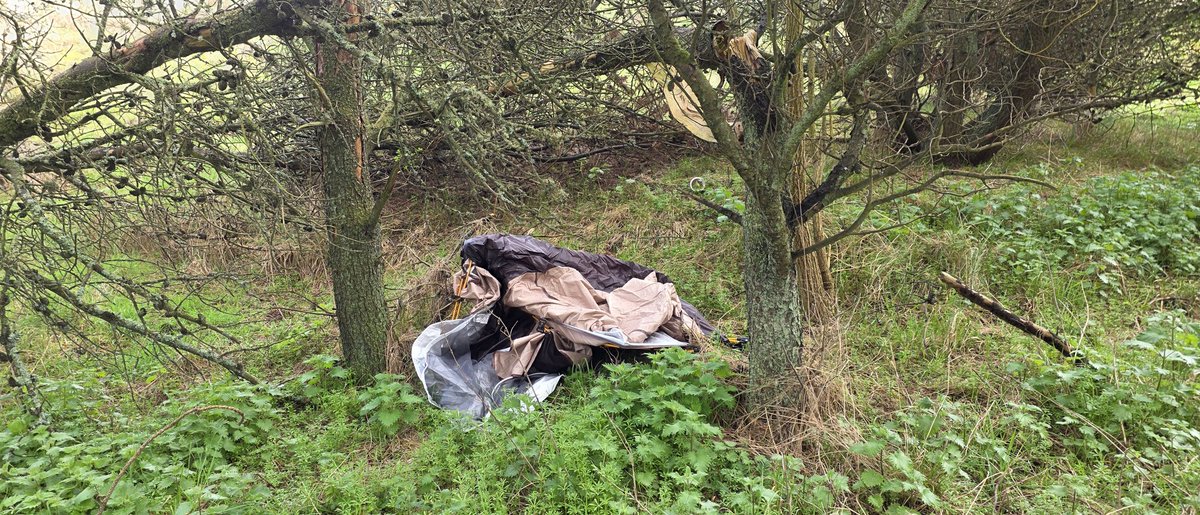 If the shitheads who left this mess at Lunan Bay would care to come and tidy up, that'd be great.
