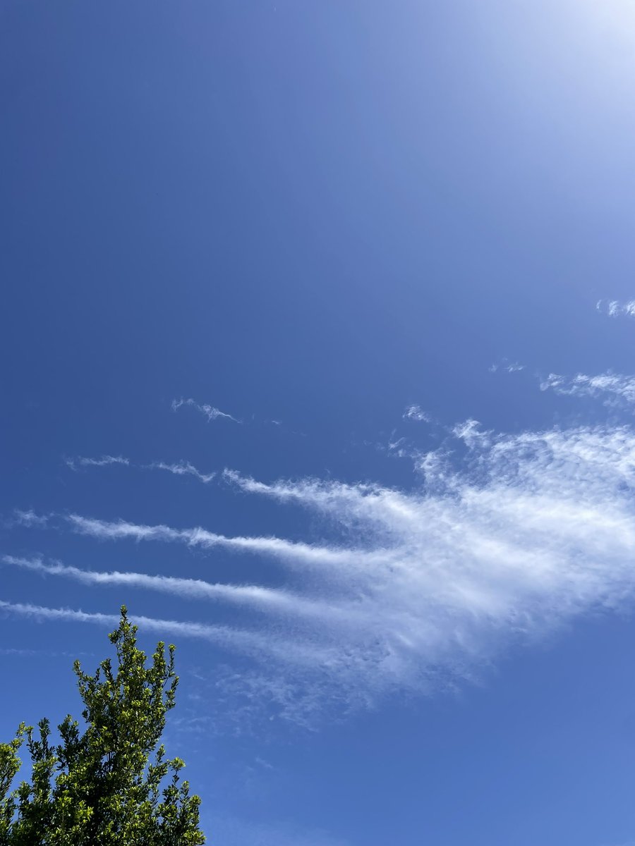 ada #abajoel78 tweet media