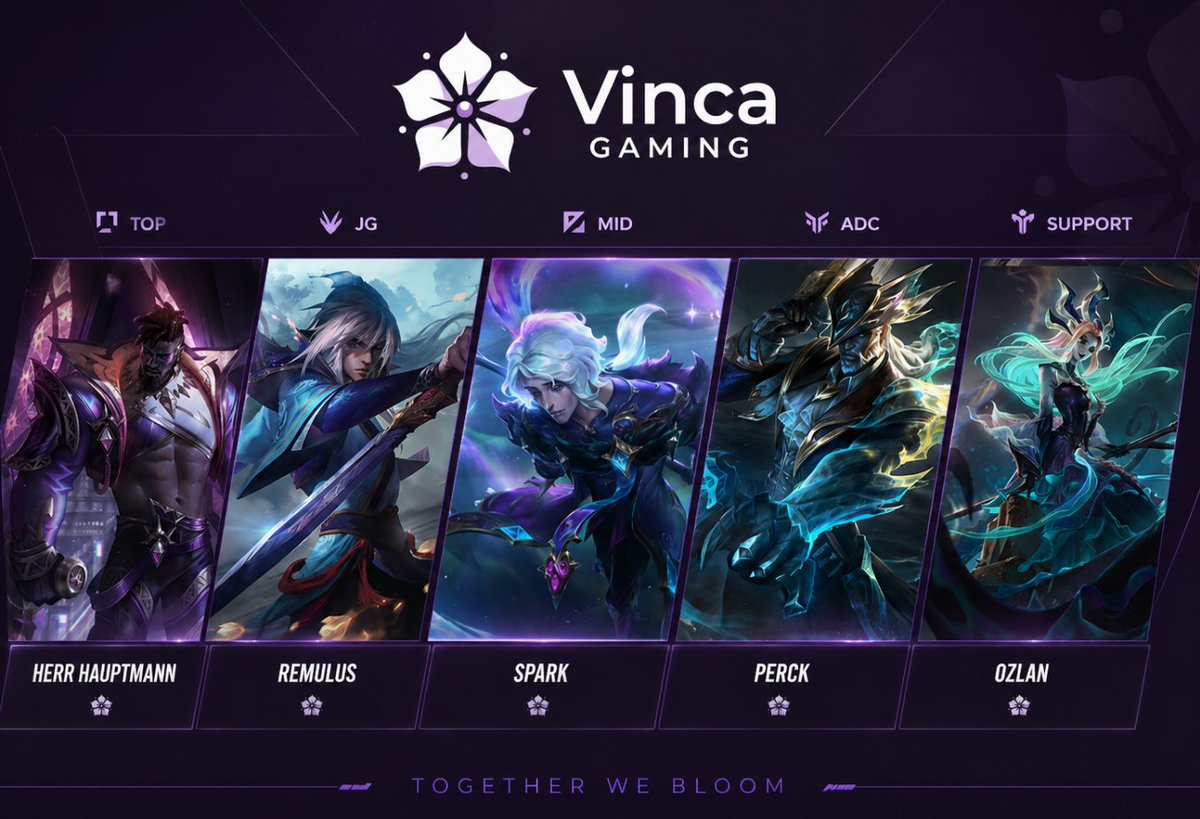 Vinca Gaming tweet media